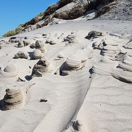 8 Person In Hjorring-by Traum 度假居 *